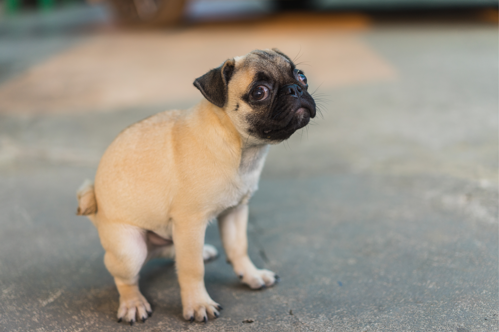 Get Anxiety Poops? Here’s How to Calm Your Nervous Stomach